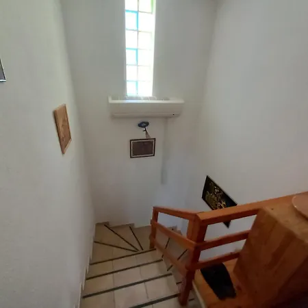 Zeleni Raj * 코니츠