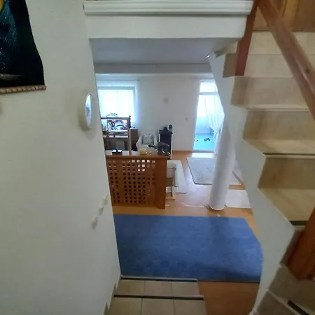 Zeleni Raj 펜션 코니츠