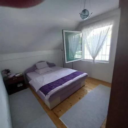 Zeleni Raj